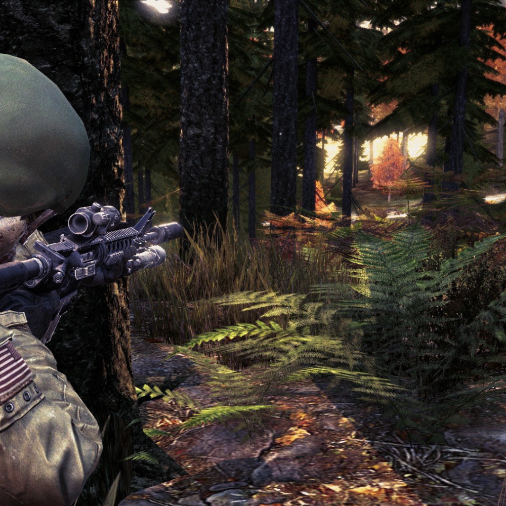 Солдат в лесу, игра DayZ