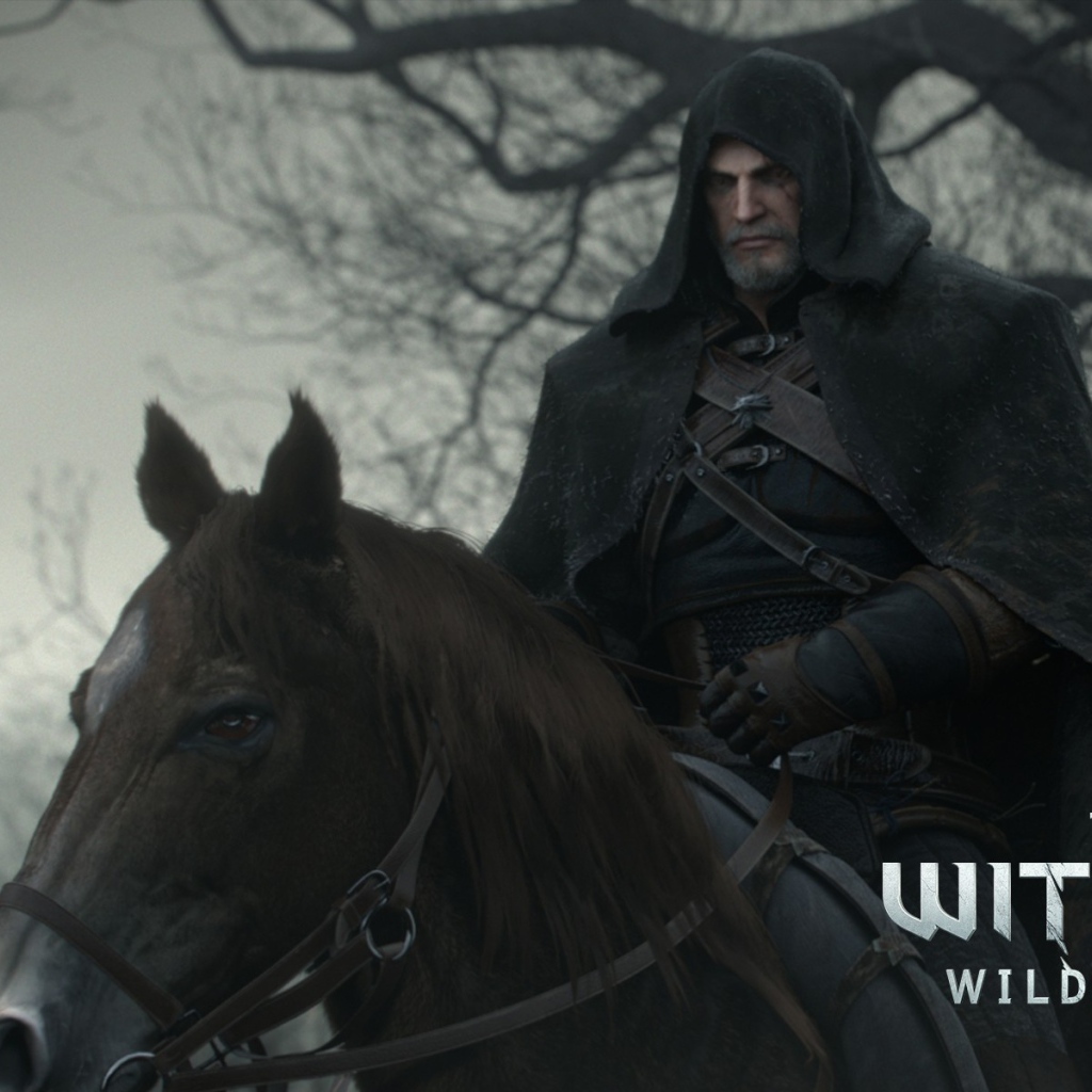 Черный всадник в игре The Witcher 3 Wild Hunt