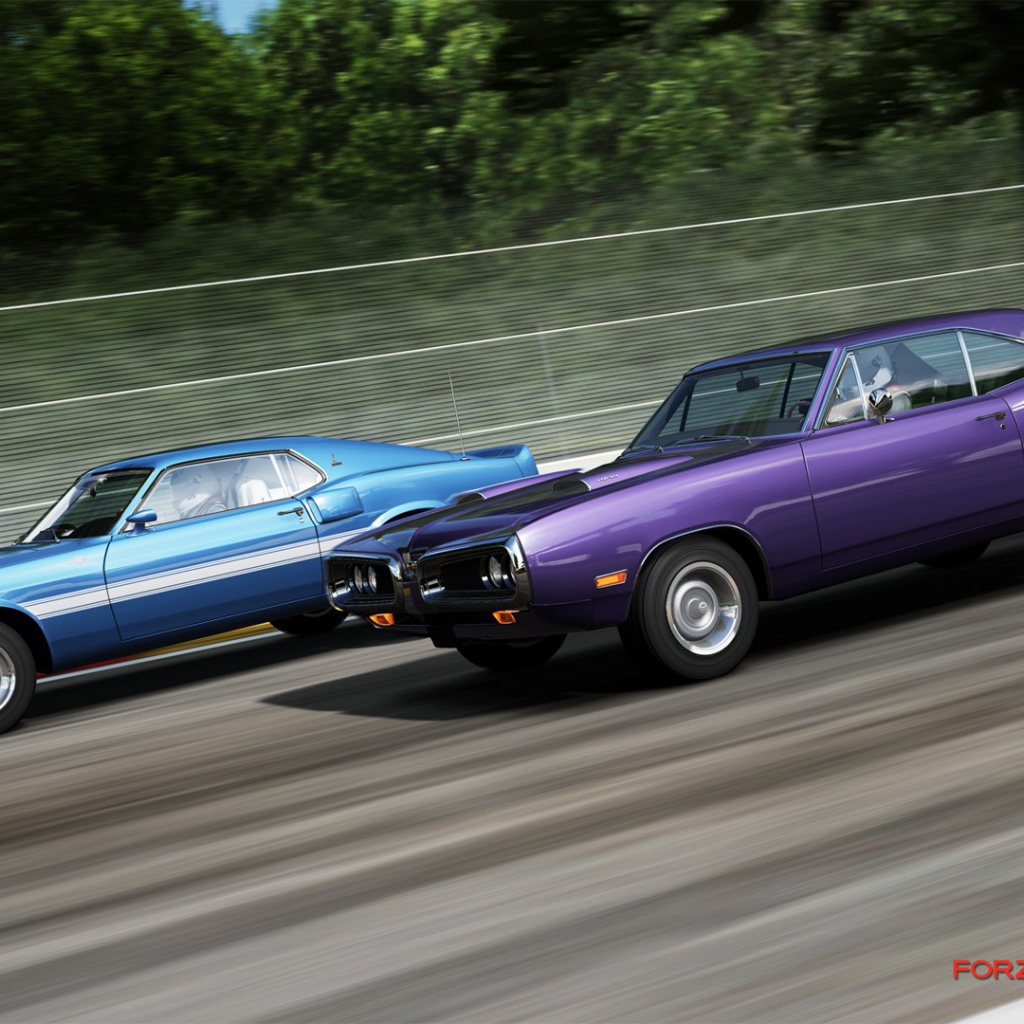 Автомобили на старте в игре Forza Motorsport