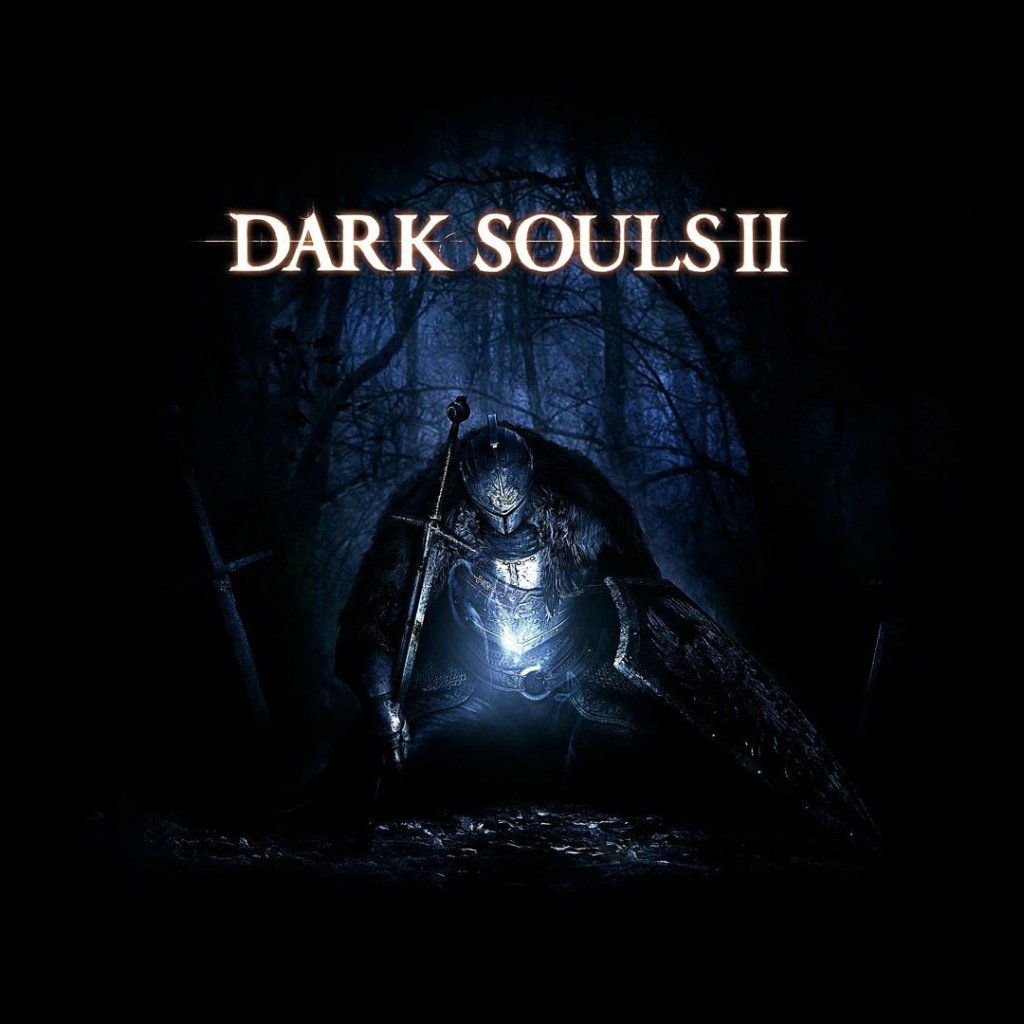 Компьютерная игра Dark Souls 2