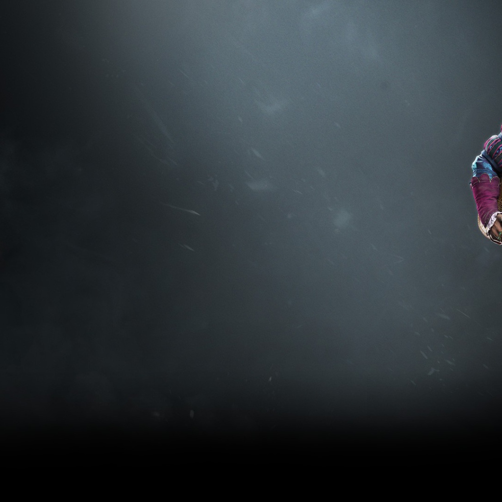 Данделион из игры The Witcher 3 Wild Hunt