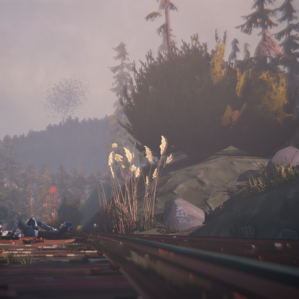 Мир игры Life Is Strange