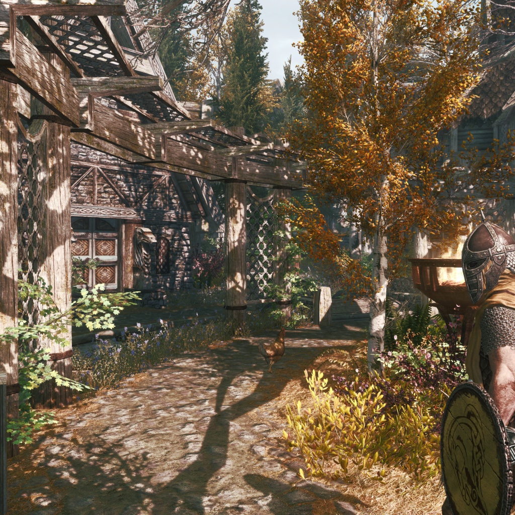 Деревня в игре The Elder Scrolls V Skyrim