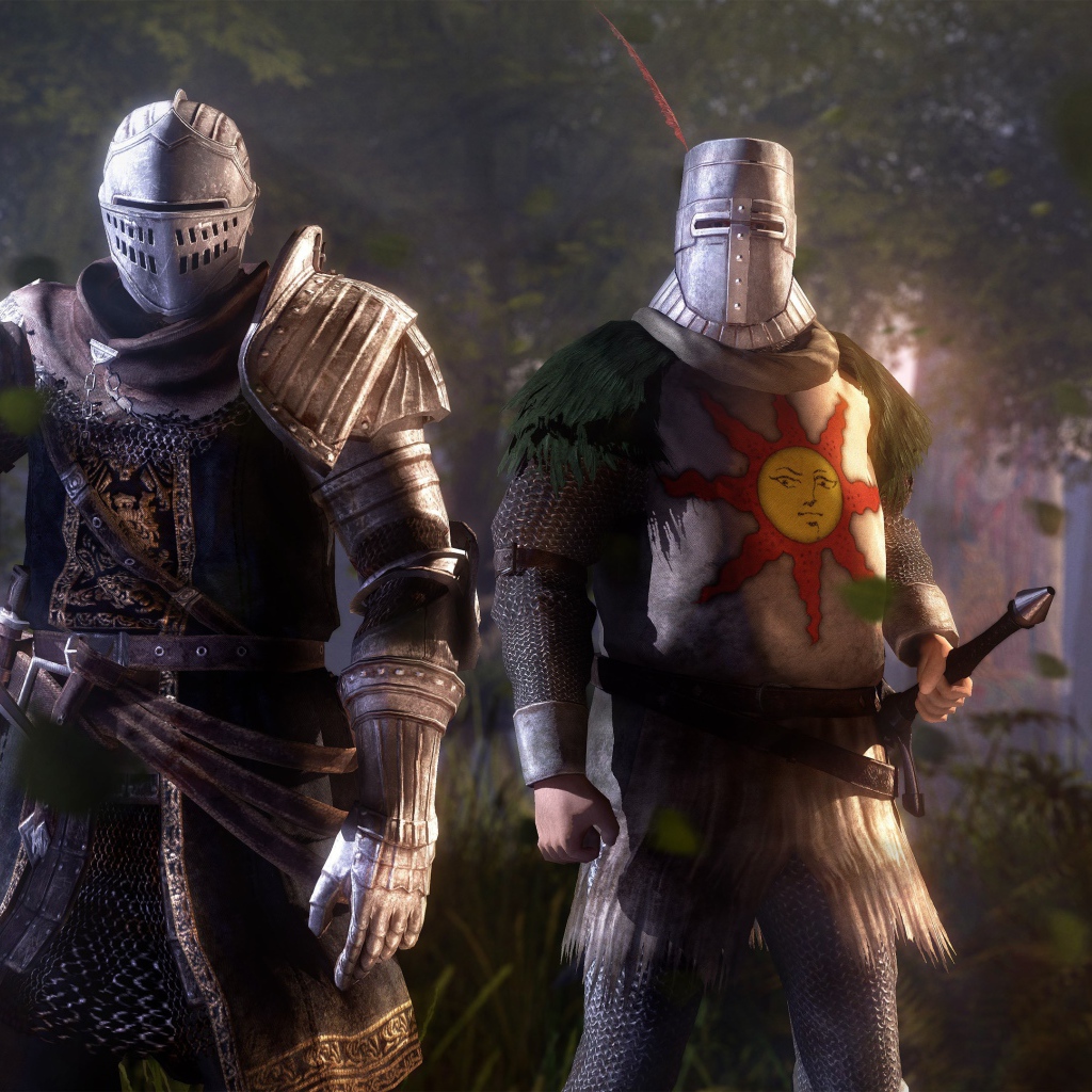 Два рыцаря, игра Dark Souls