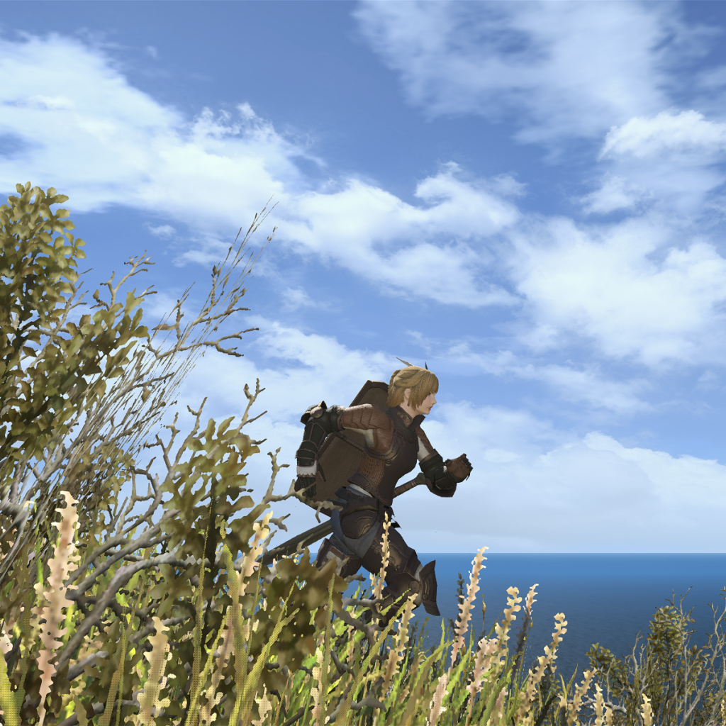 Мир игры Final Fantasy XIV