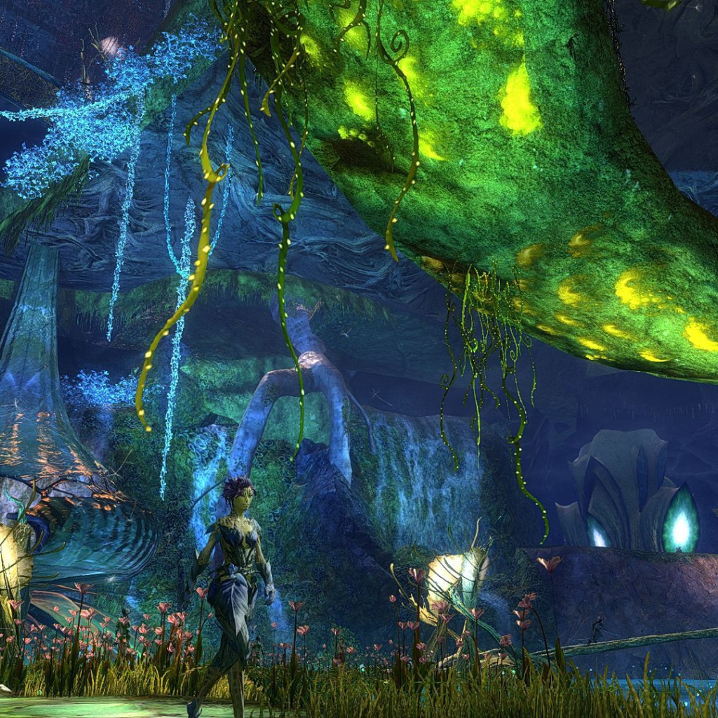 Мир игры Guild Wars