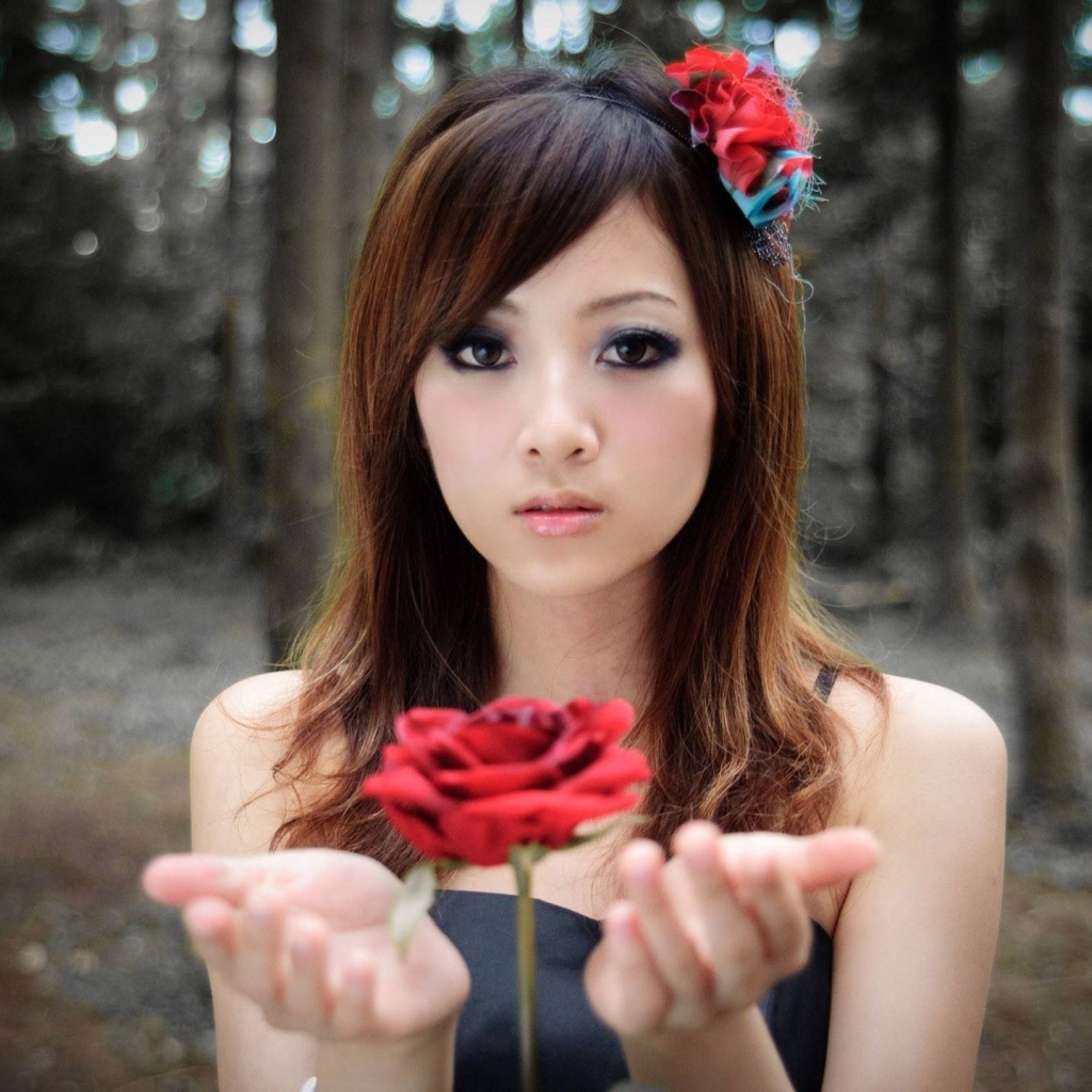 Роза парит в руках у девушки