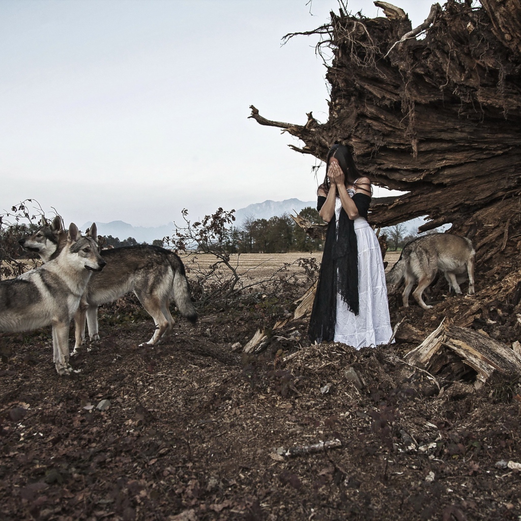 Девушка закрыла лицо в окружении волков