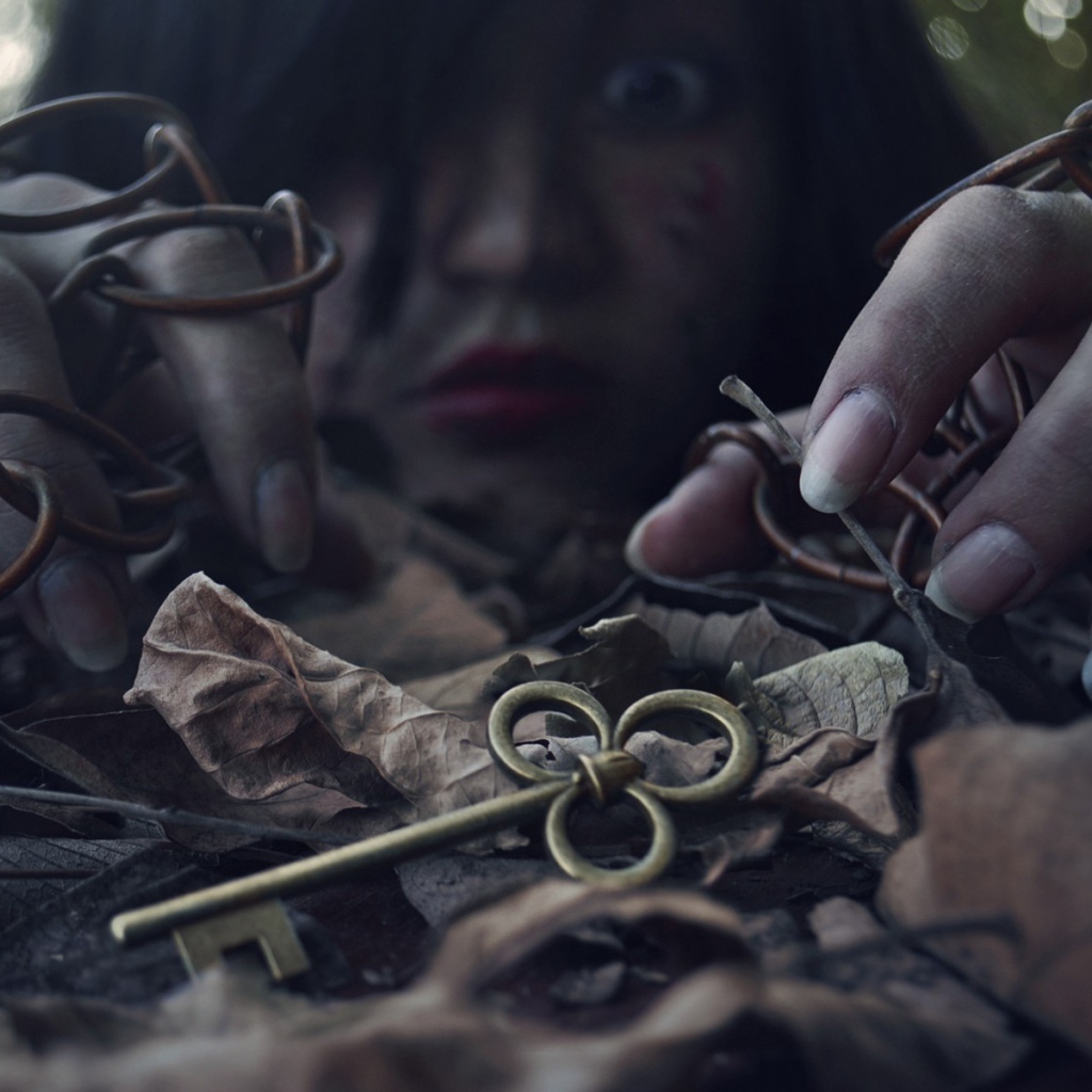 Девушка нашла ключ