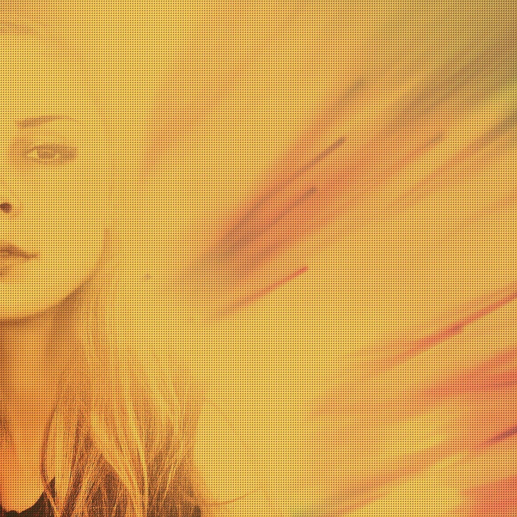 Силуэт девушки Лена Майер-Ландрут