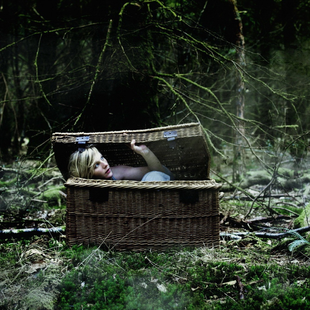 Блондинка в корзине в лесу