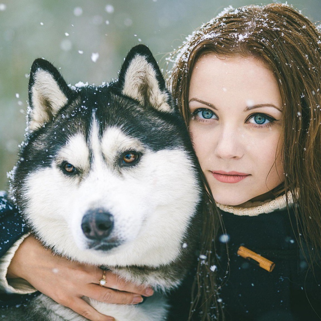 Девочка с собакой из лайка. Девушка и хаски. Красивая девушка с хаски. Девушка с собакой. Фотосессия с собакой зимой.