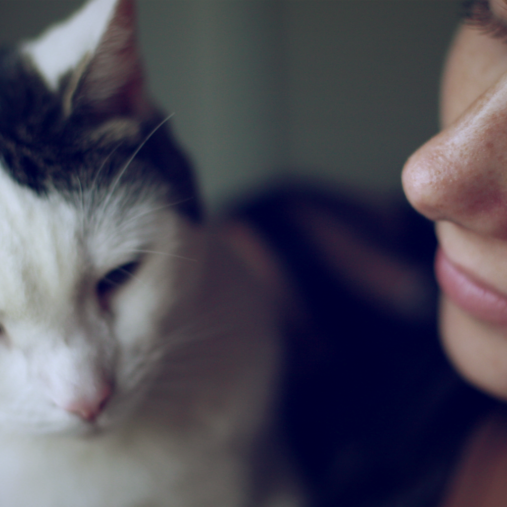 Девушка смотрит на своего кота с любовью