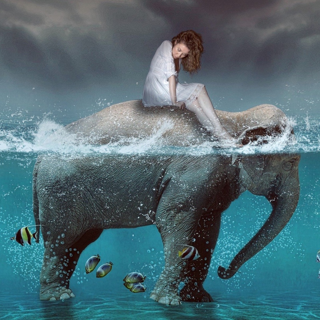Девушка на спине слона