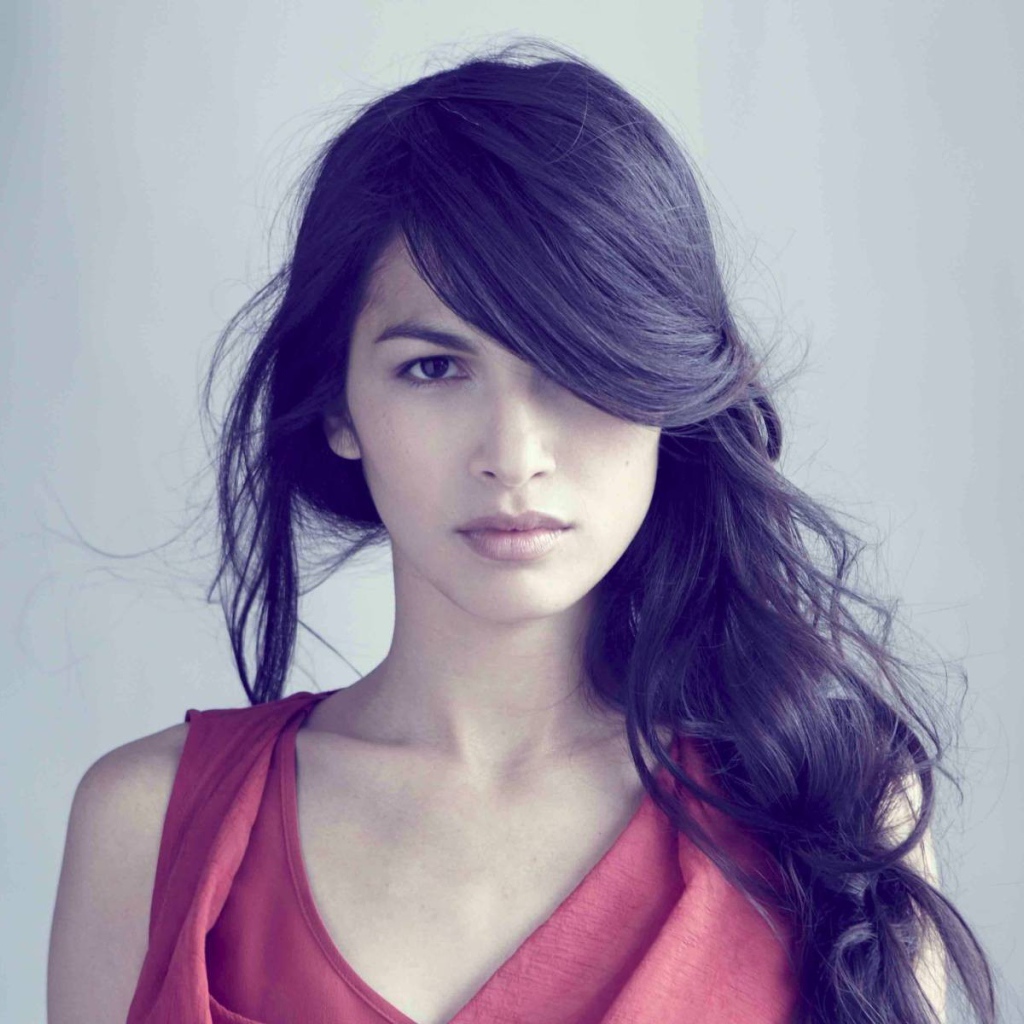 Модель Элоида Янг