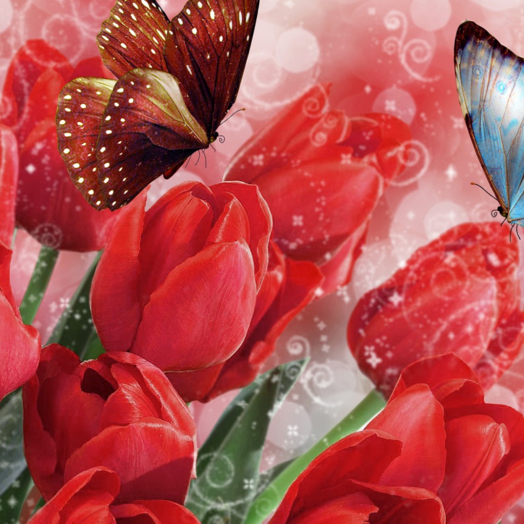 Бабочки на тюльпанах на 8 марта