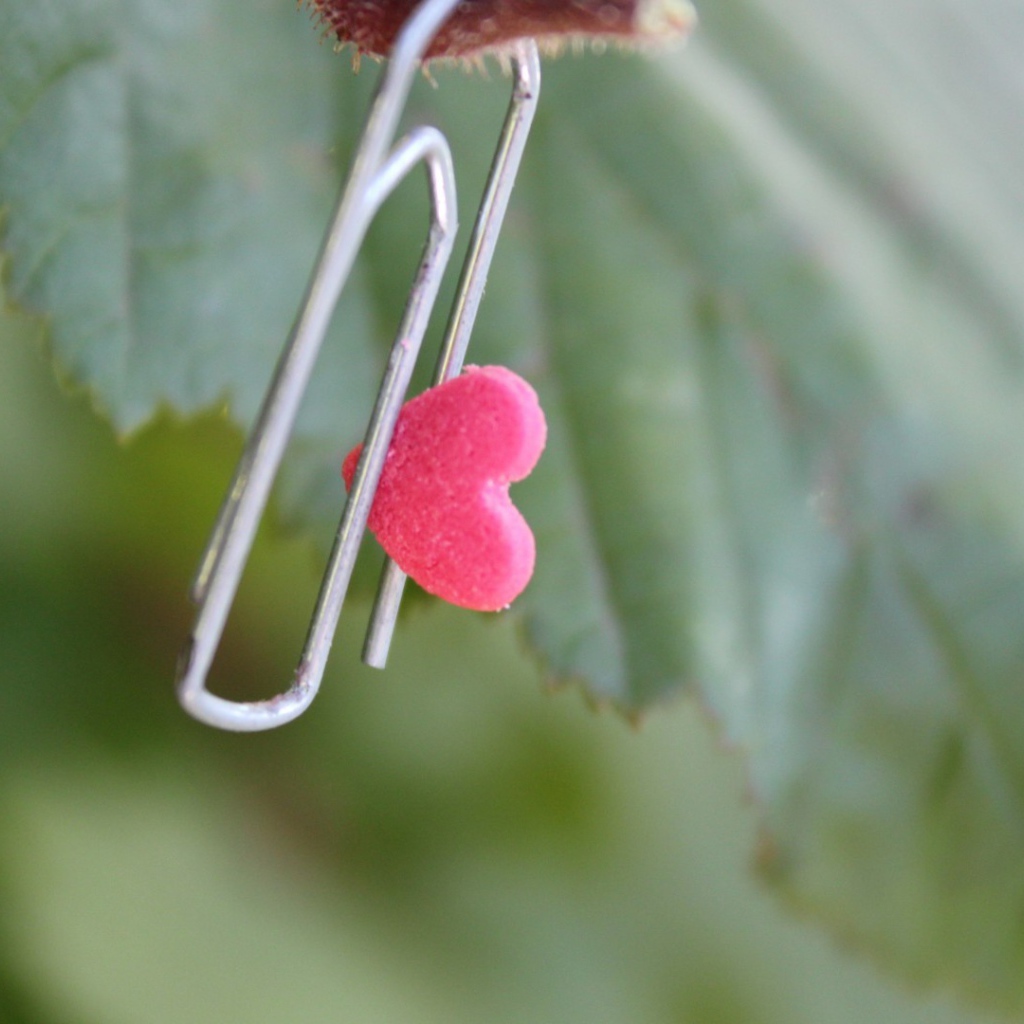 Скрепка с сердцем на зеленом листике