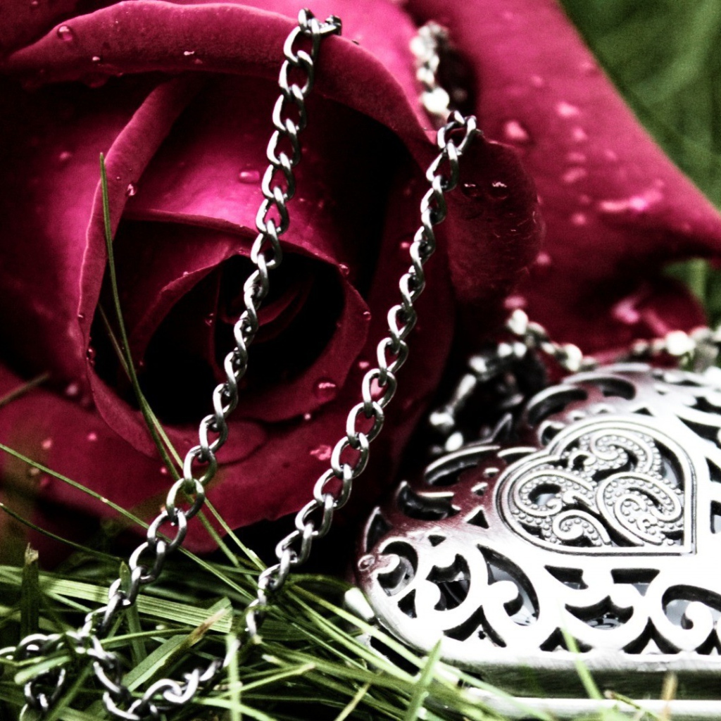 Роза и кулон в форме сердца