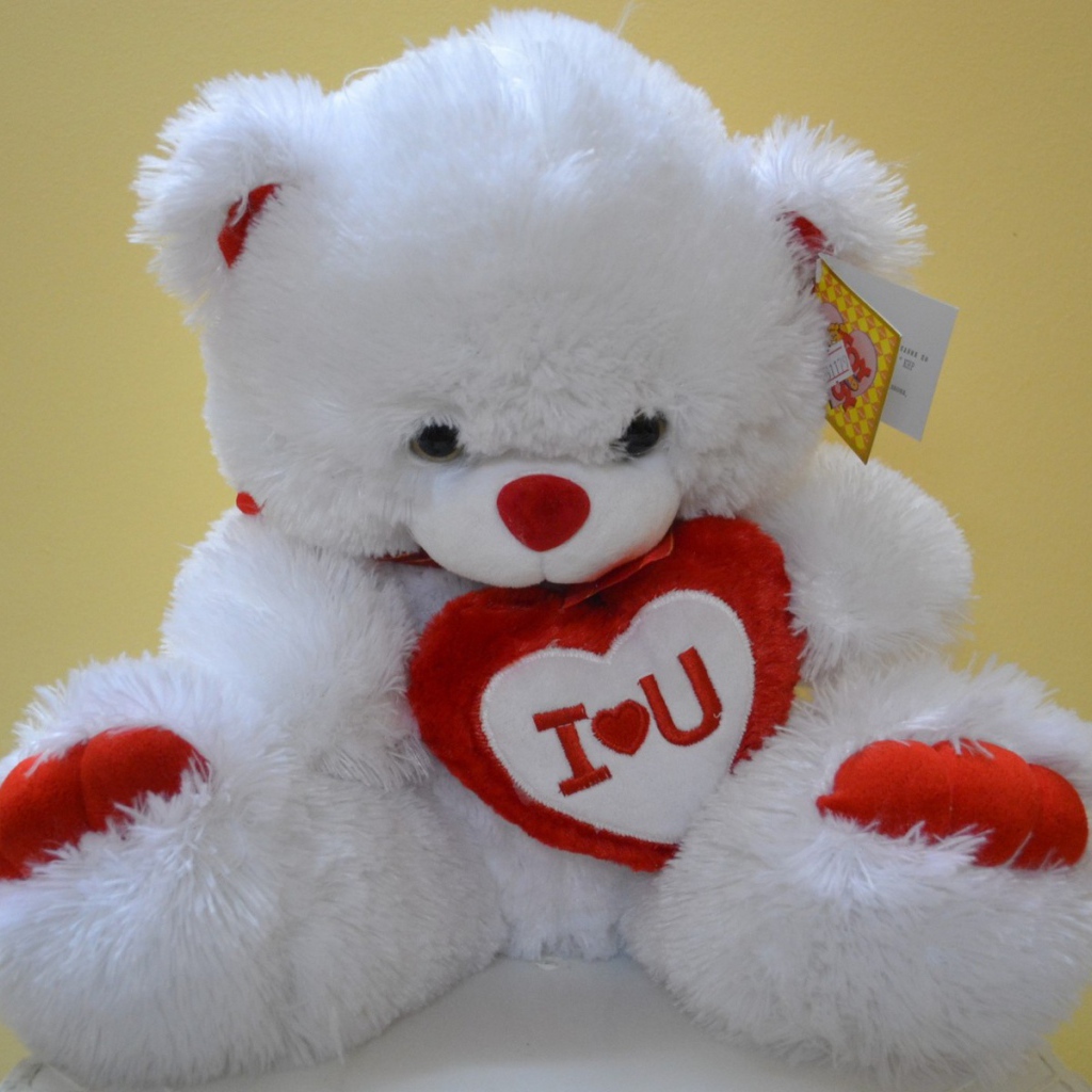 Белый медвежонок с признанием в любви