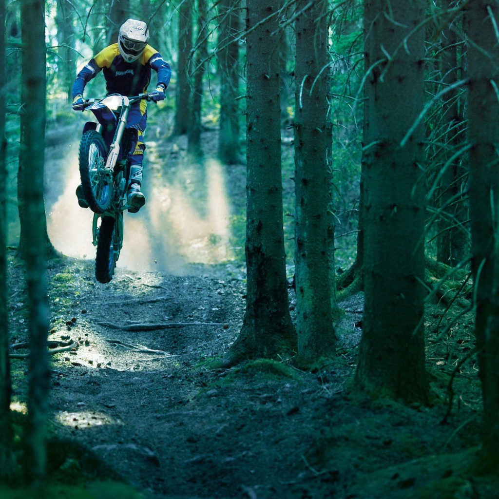 Гонщик на мотобайке в лесу