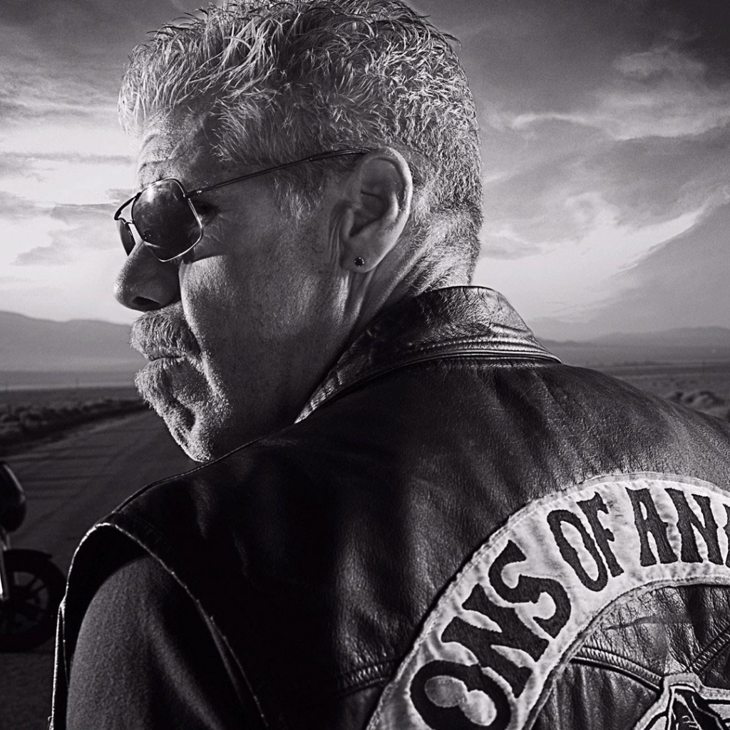 Байкер на дороге, Сыны анархии