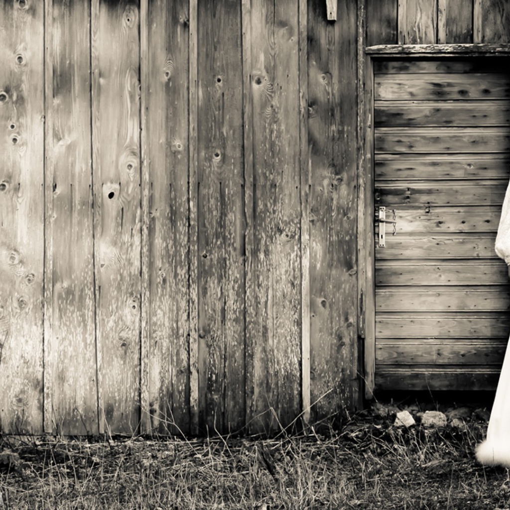 Девушка у деревянного сарая, фильм Звонок