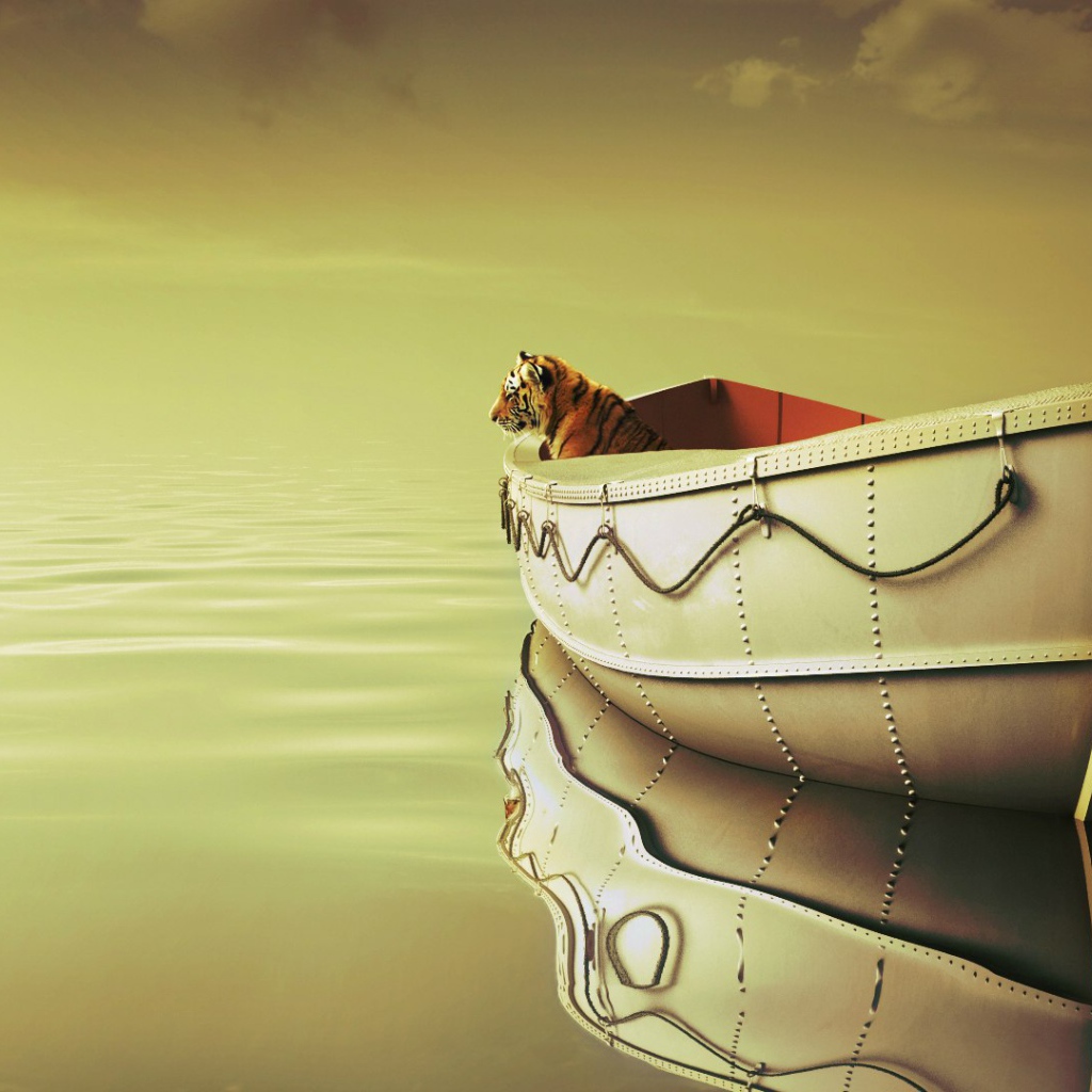 Кадр из фильма Жизнь Пи