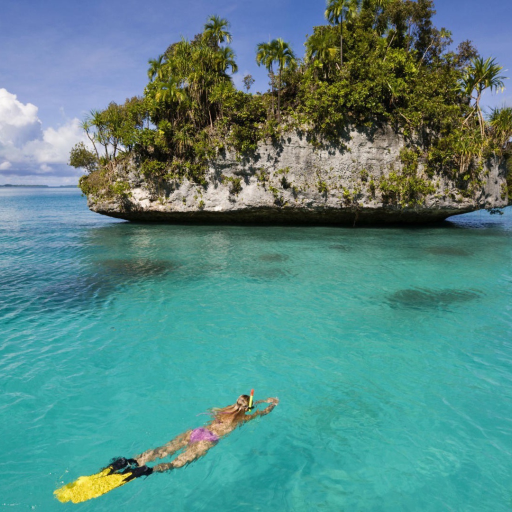 Дайвер плывет к скале