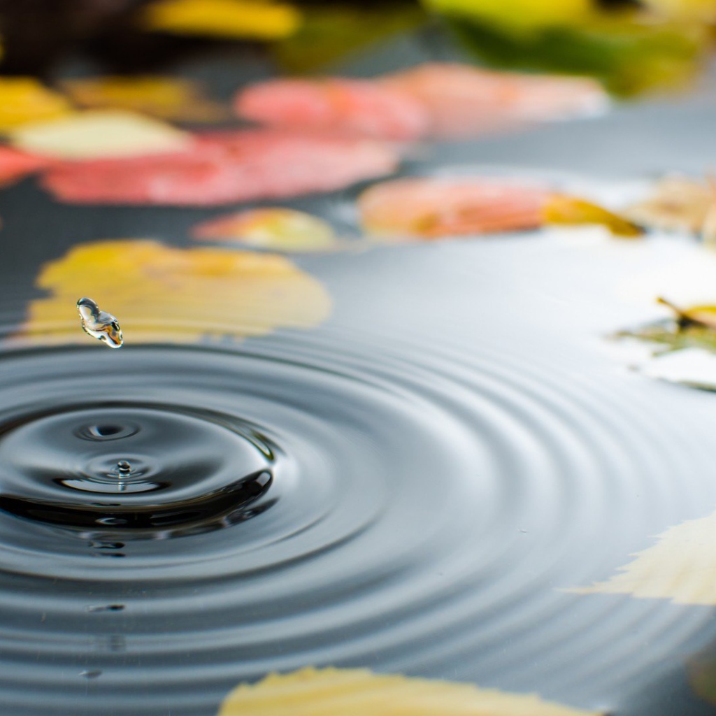 Капля воды в луже