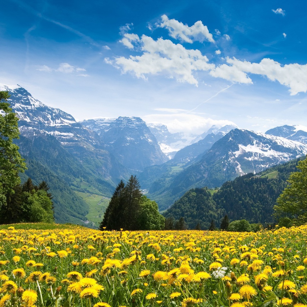 Красота украинских Карпат