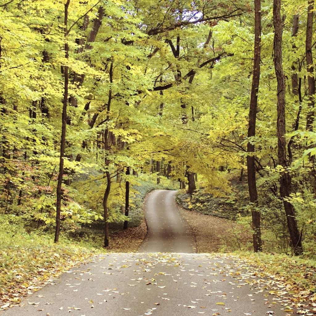 Велосипедная дорожка в осеннем парке