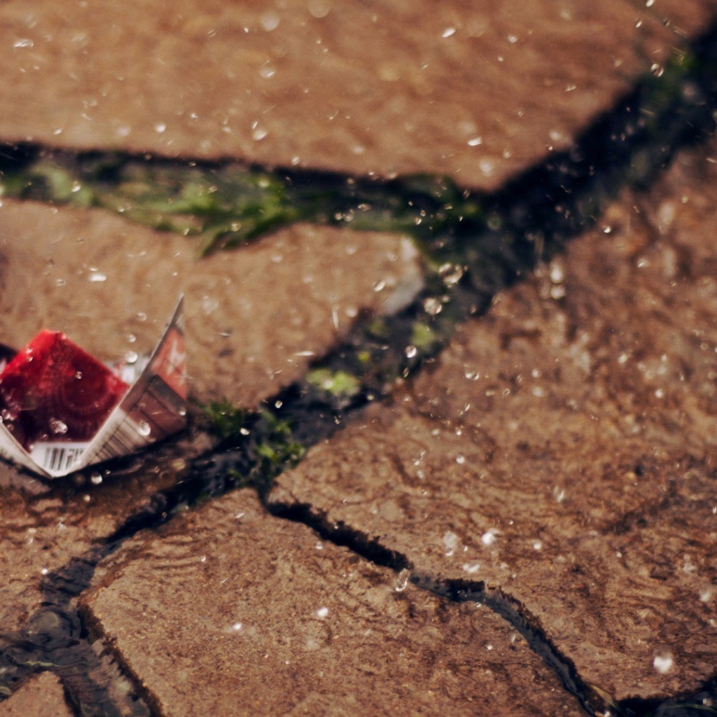 Кораблики на сухой земле под дождем