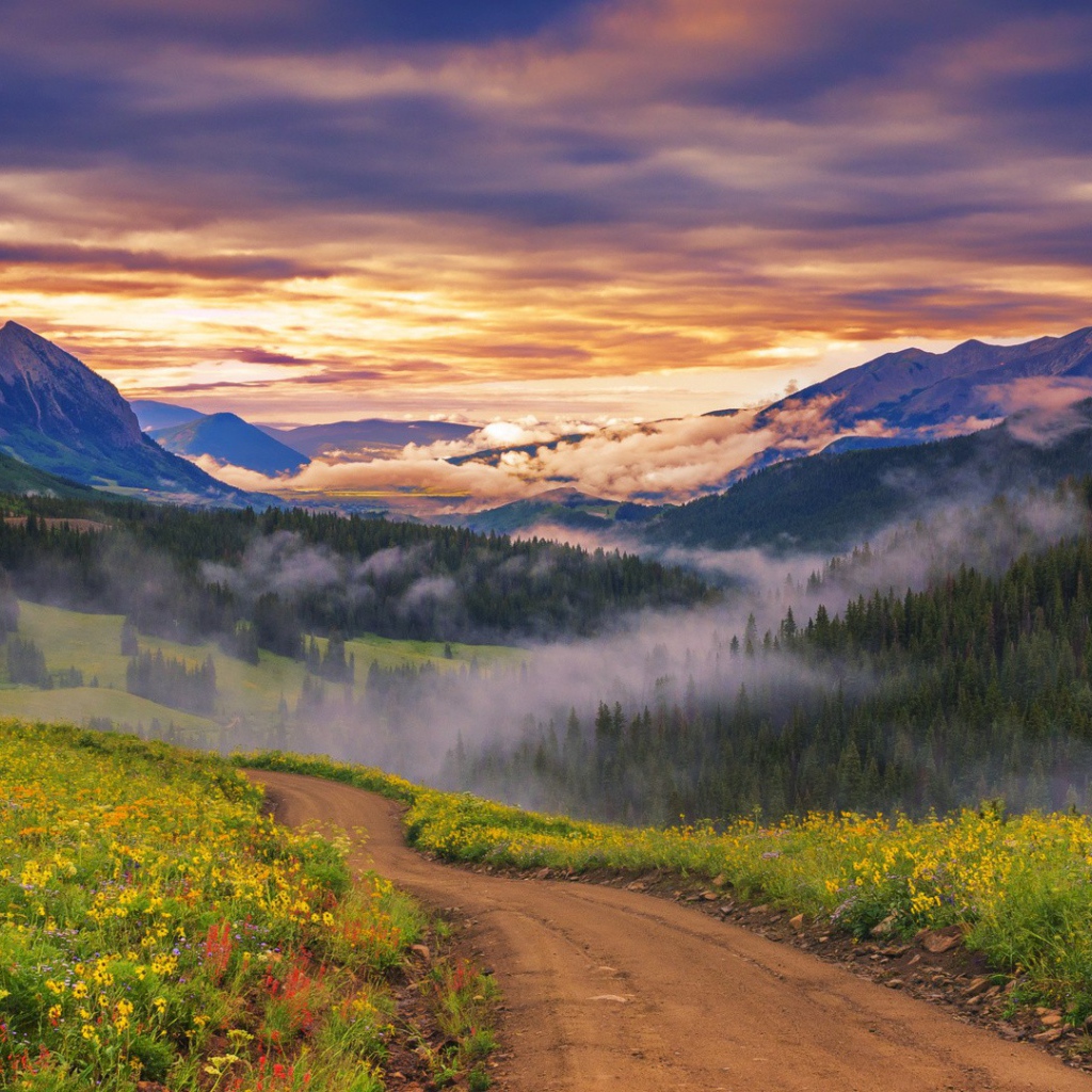 Облака опустились к вершинам деревьев