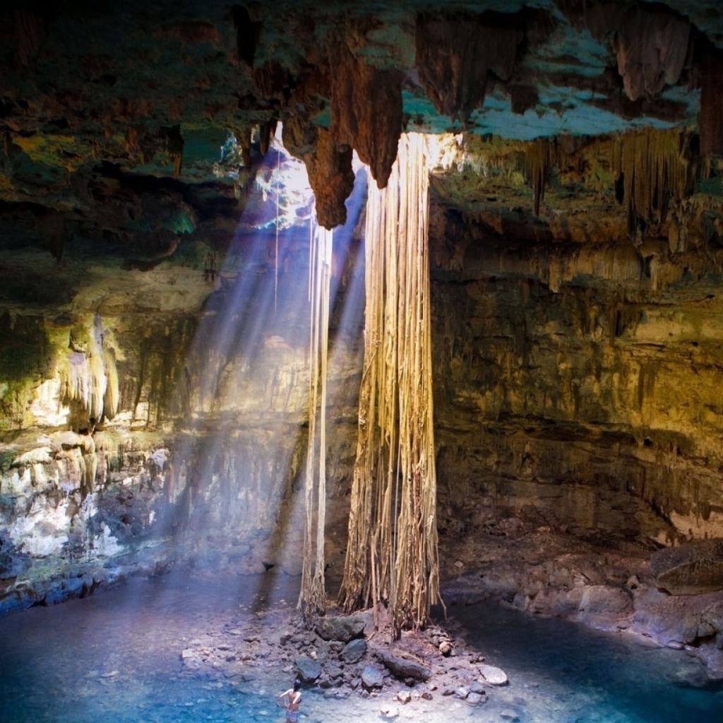 Лианы свисают с потолка пещеры