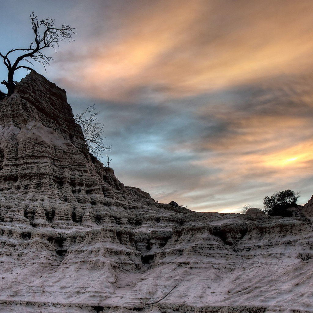 Засохшее дерево на вершине мертвой скалы