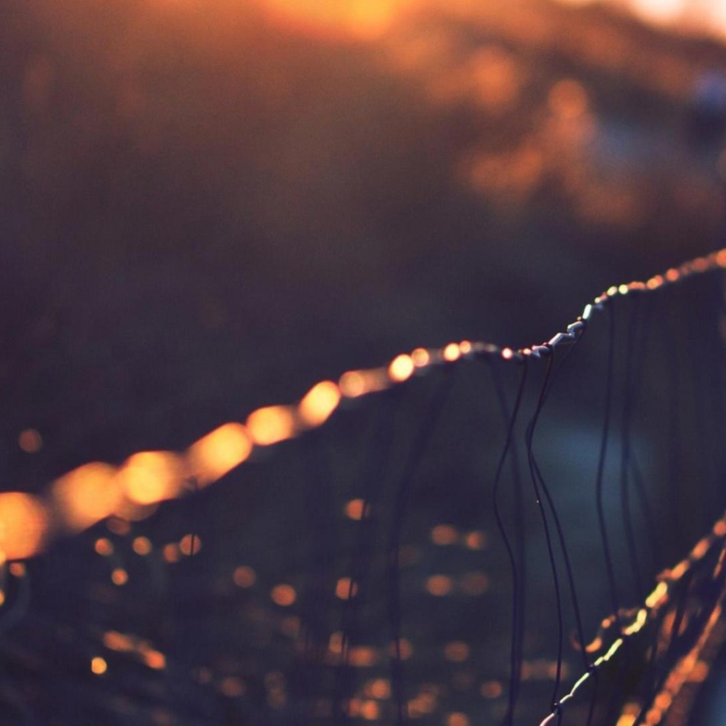 Капли росы на сетчатом заборе