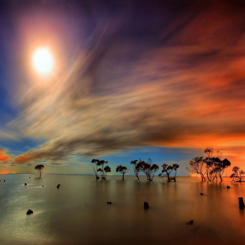 Сухие деревья в воде под оранжевыми облаками