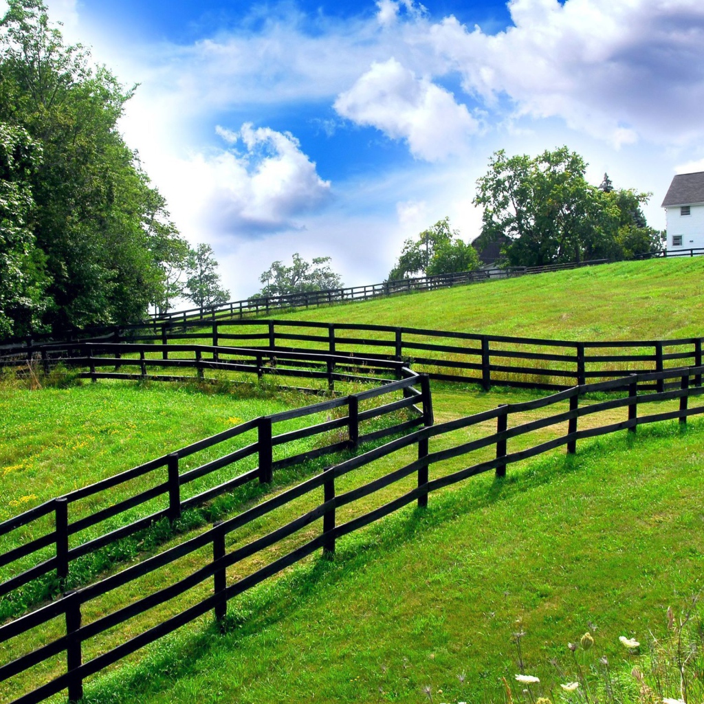 Заборы на границах участков