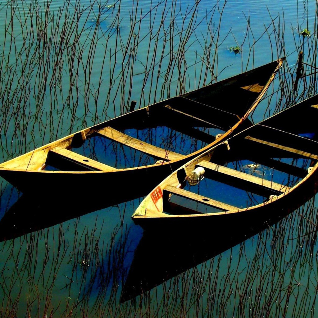 Затопленные лодки в зарослях