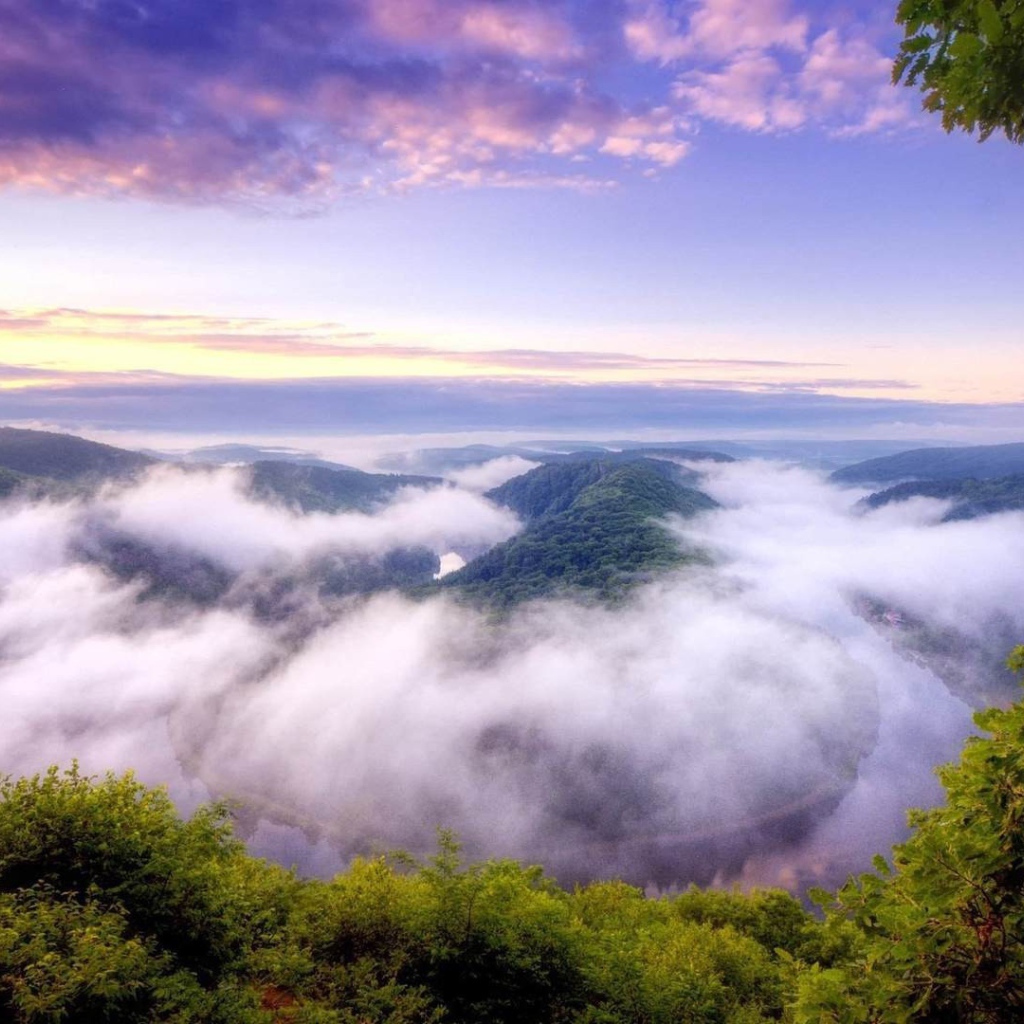 Туман над покрытыми густым лесом горами