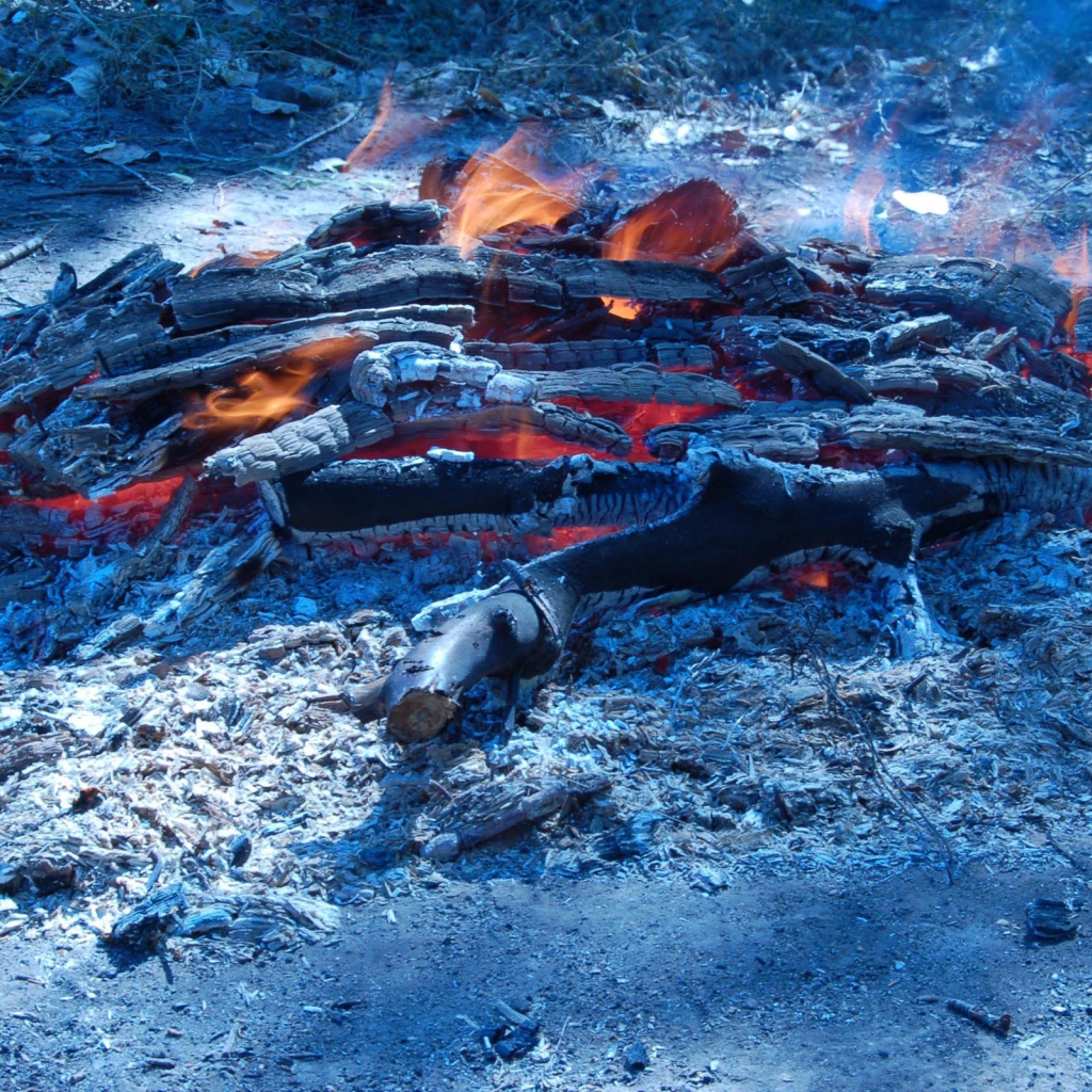 Сизые угли костра