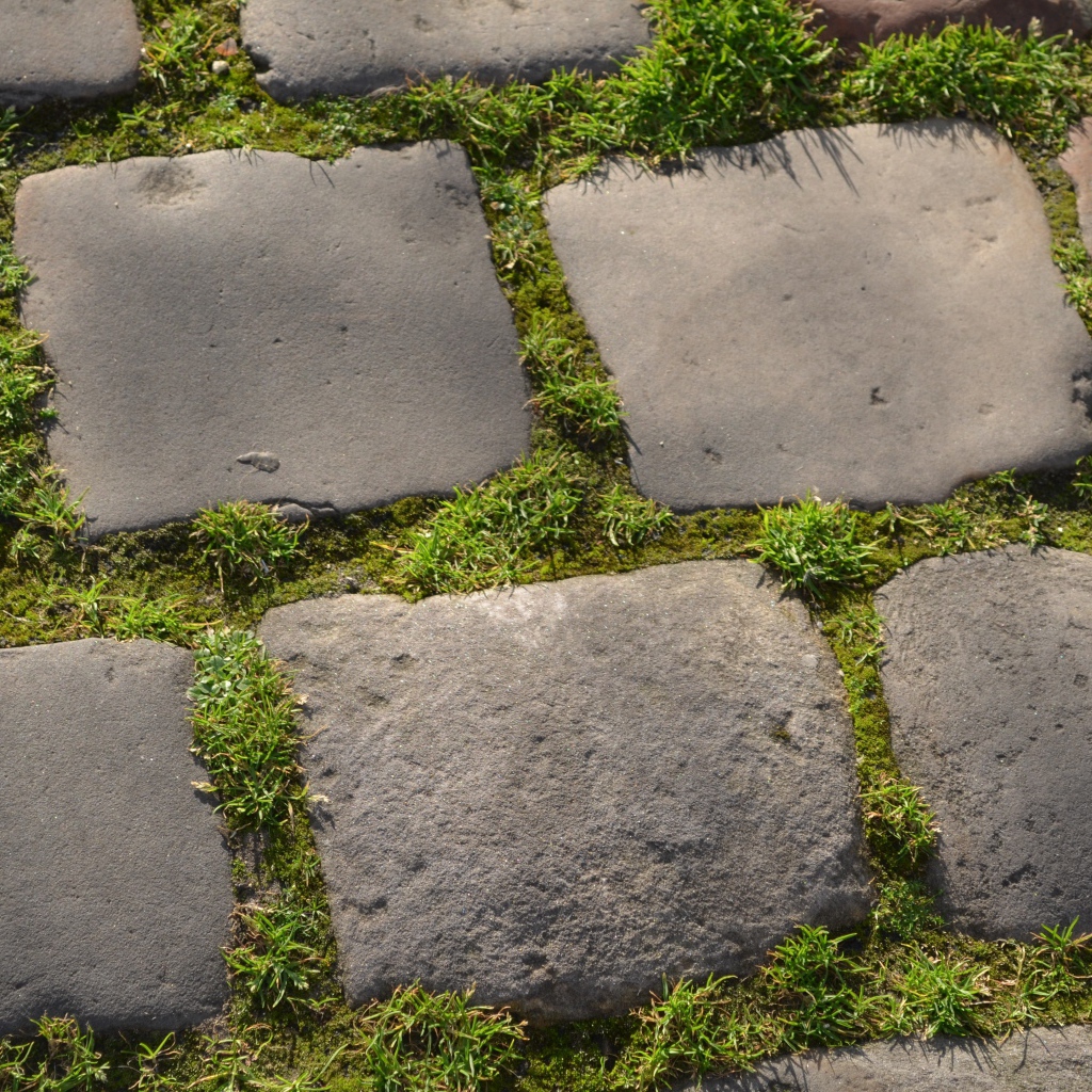 Зеленая трава между блоков брусчатки