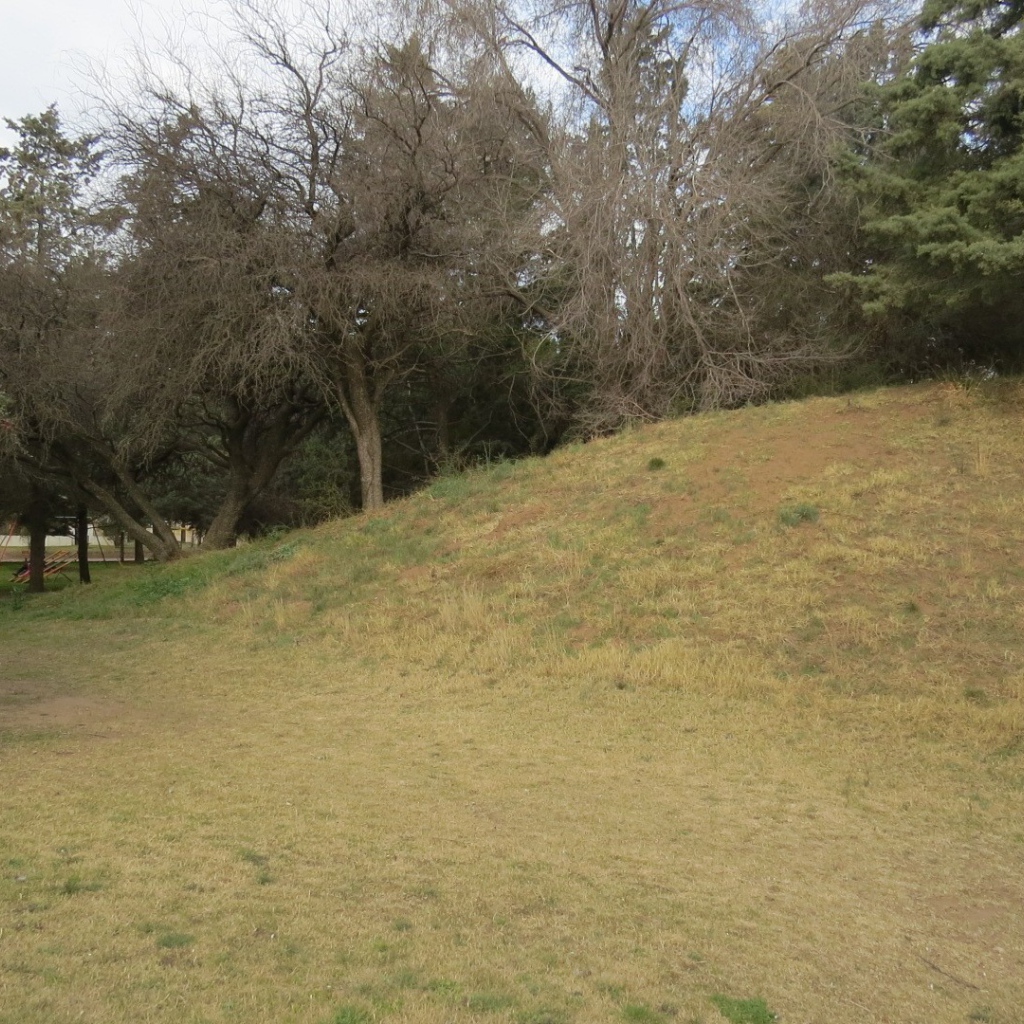 Холм с деревьями в парке