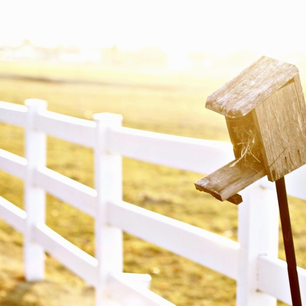 Домик для птиц у фермерского забора