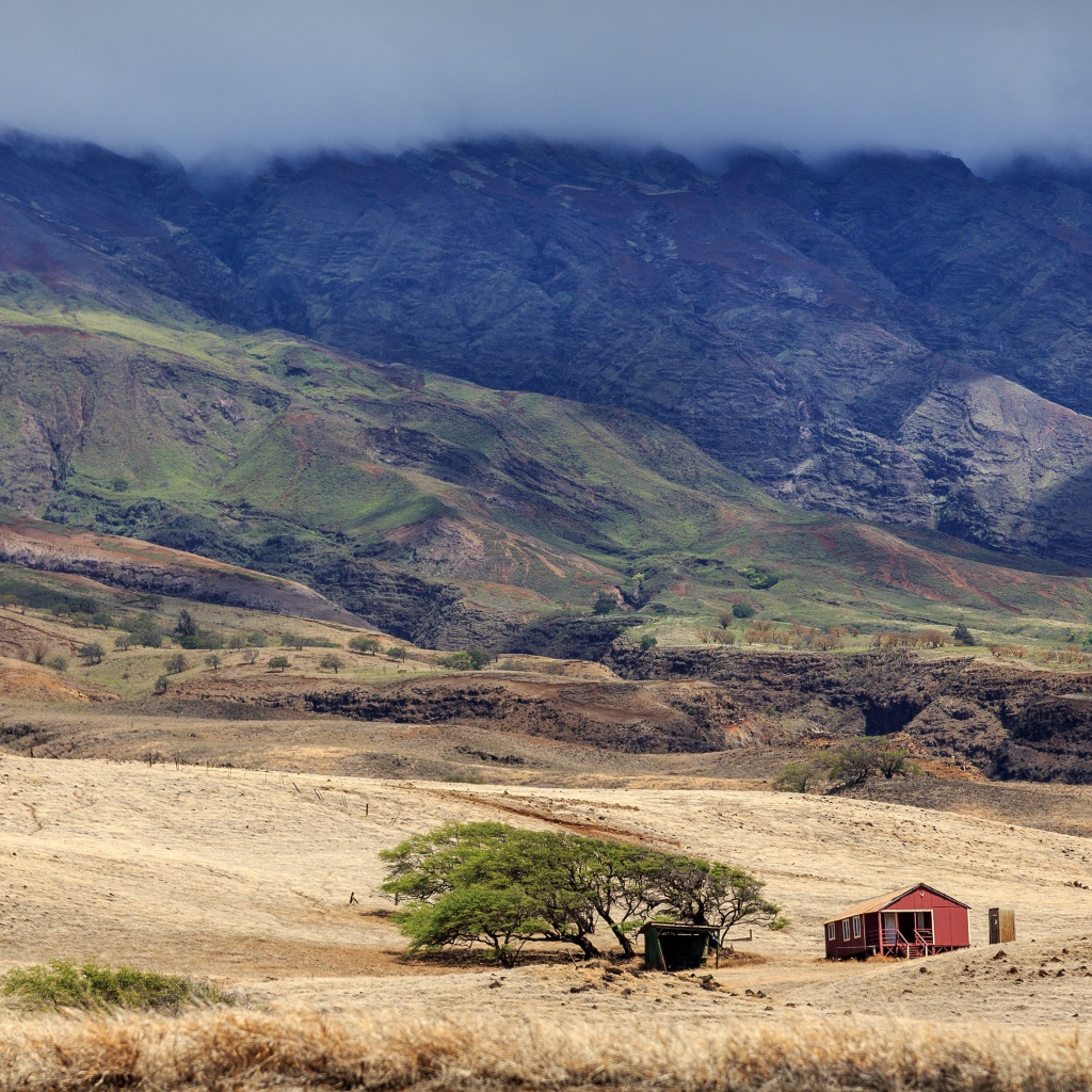Домик у дерева в пустынной горной местности
