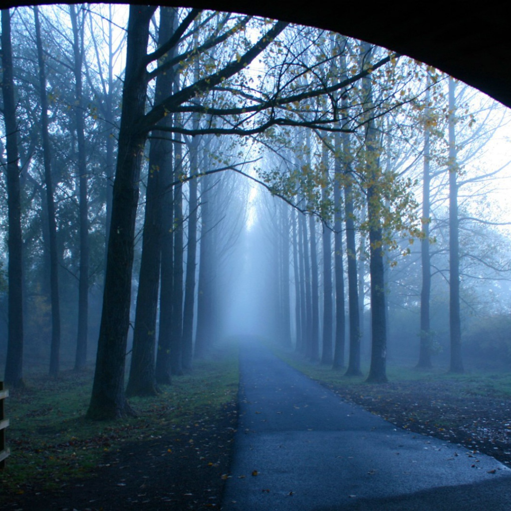 Туманная аллея у моста