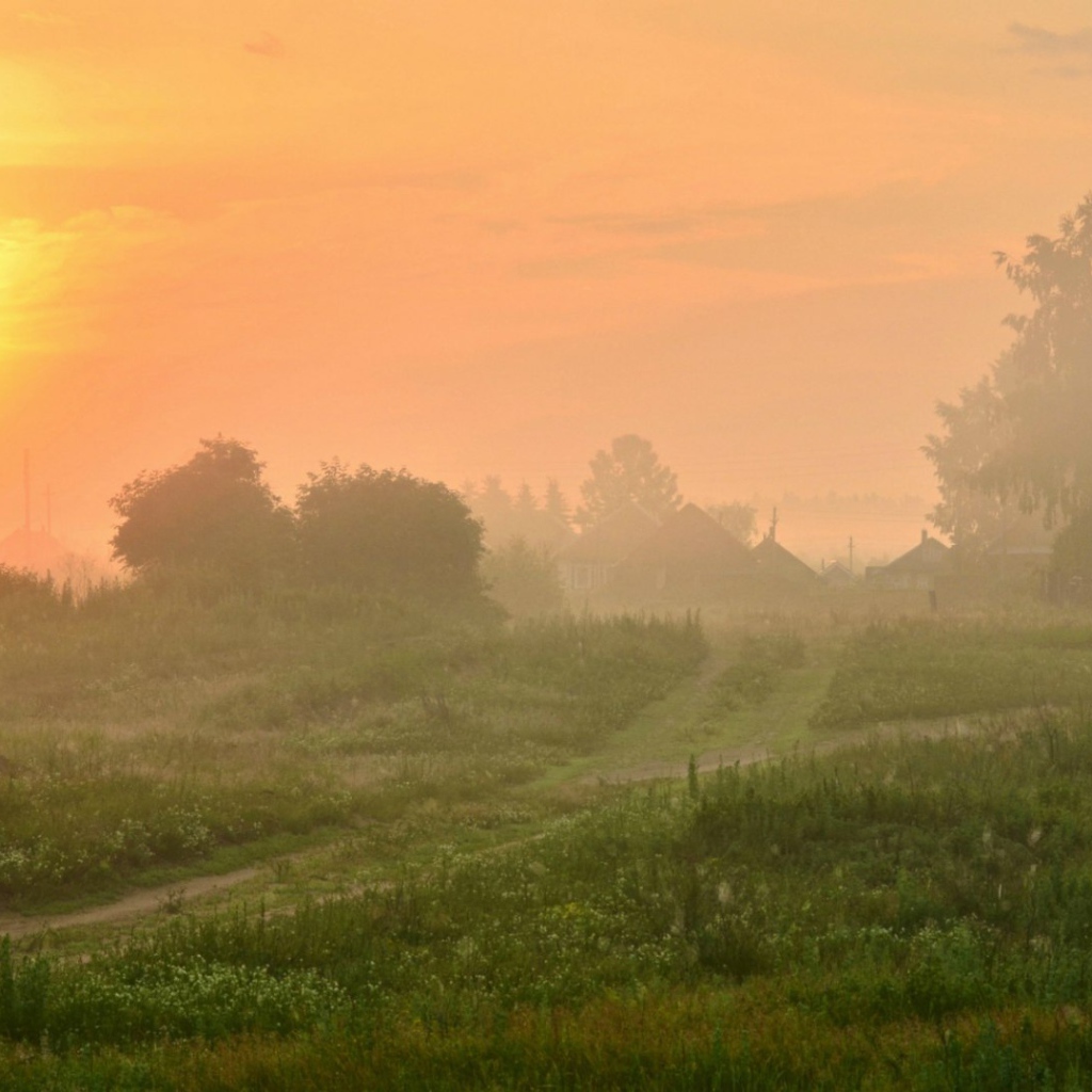Туманный рассвет в деревне