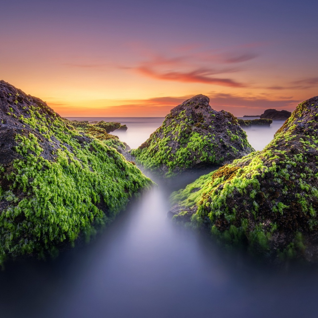 Поросшие мхом скалы в тумане