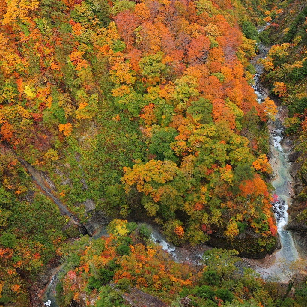 Горный поток среди леса