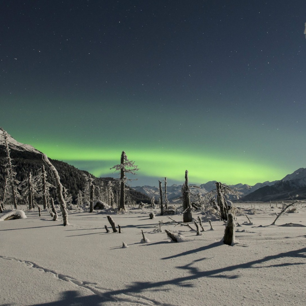 Северное сияние над снежной пустыней